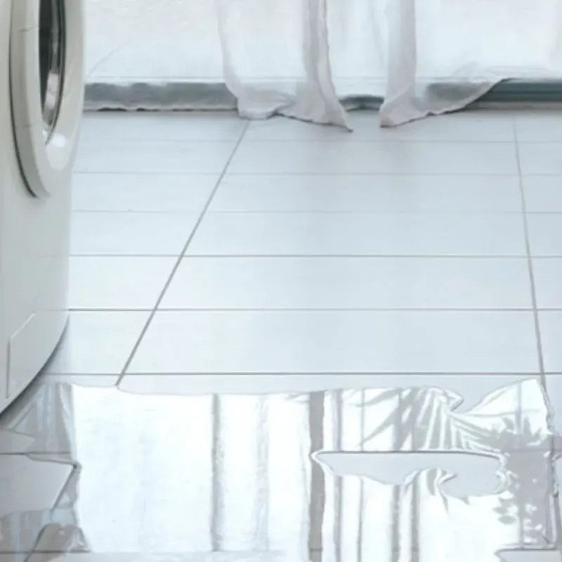 Appliance Leak Cleanup in Peotone, IL