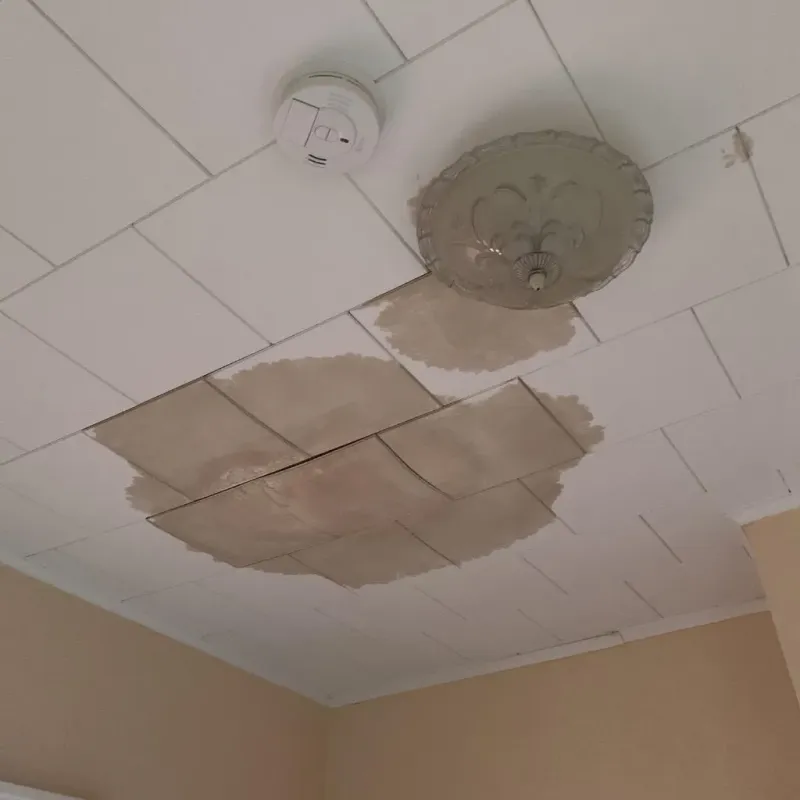 Ceiling Water Damage Repair in Peotone, IL