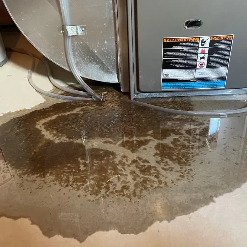 Pipe Burst and Leak Restoration in Peotone, IL