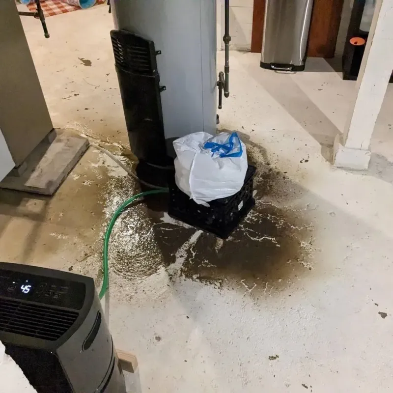 Sewage Backup Cleanup Service in Peotone, IL